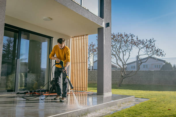 Best Solar Panel Cleaning  in Carrizozo, NM